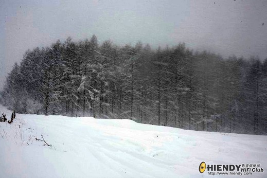 _MG_5062.jpg