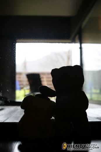 _MG_5494.jpg