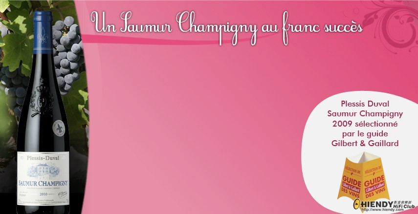 fond_saumur_champigny.jpg