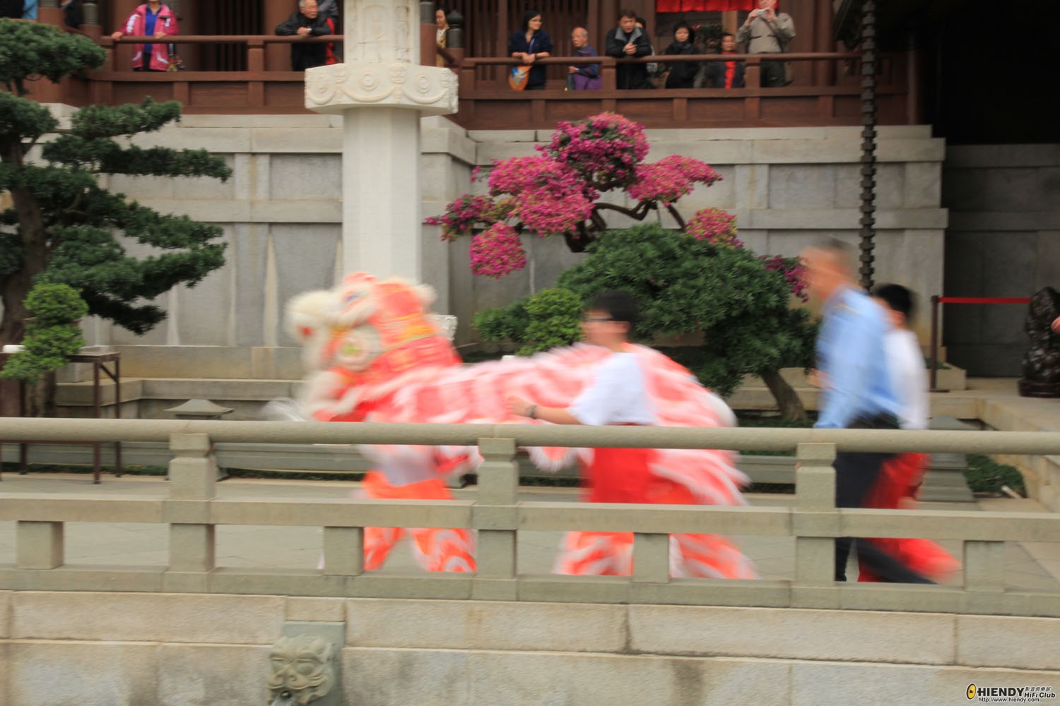 IMG_3182.jpg