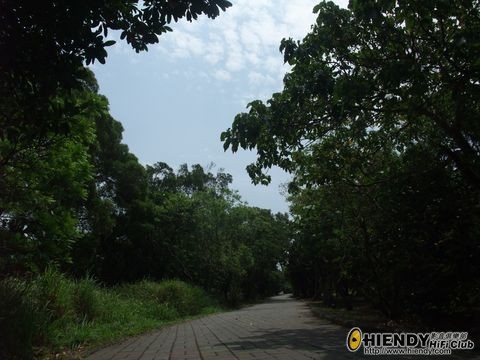 龍鑾潭3.jpg