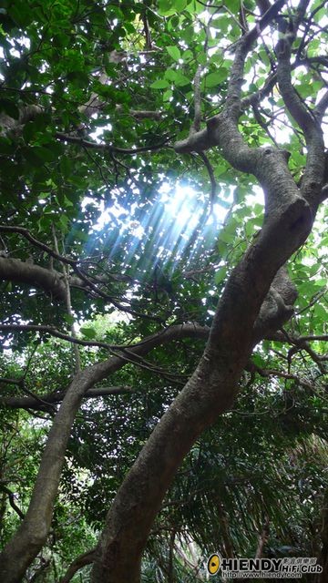 1.11.2 社頂公園.jpg