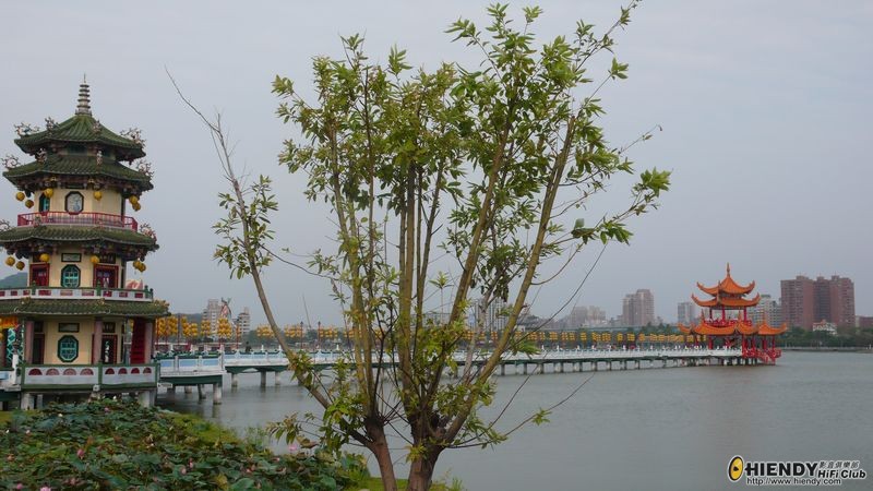 3.13 左營連池潭.jpg
