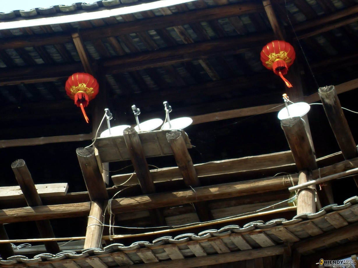 SDC13381.jpg