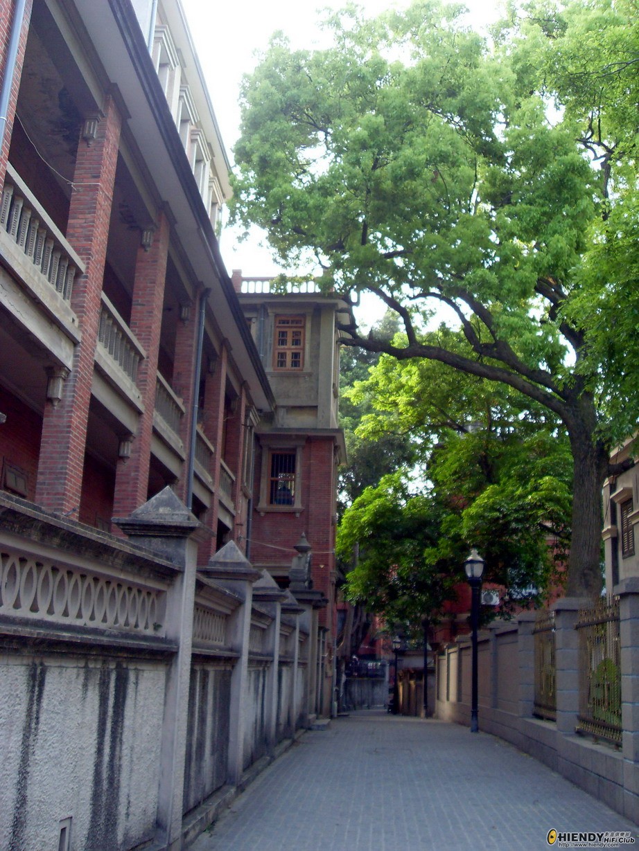 SDC13486.jpg