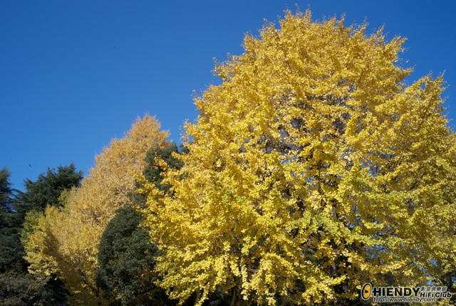 test5.jpg