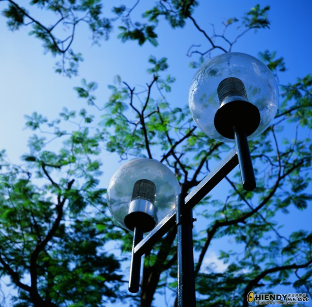 test6.jpg