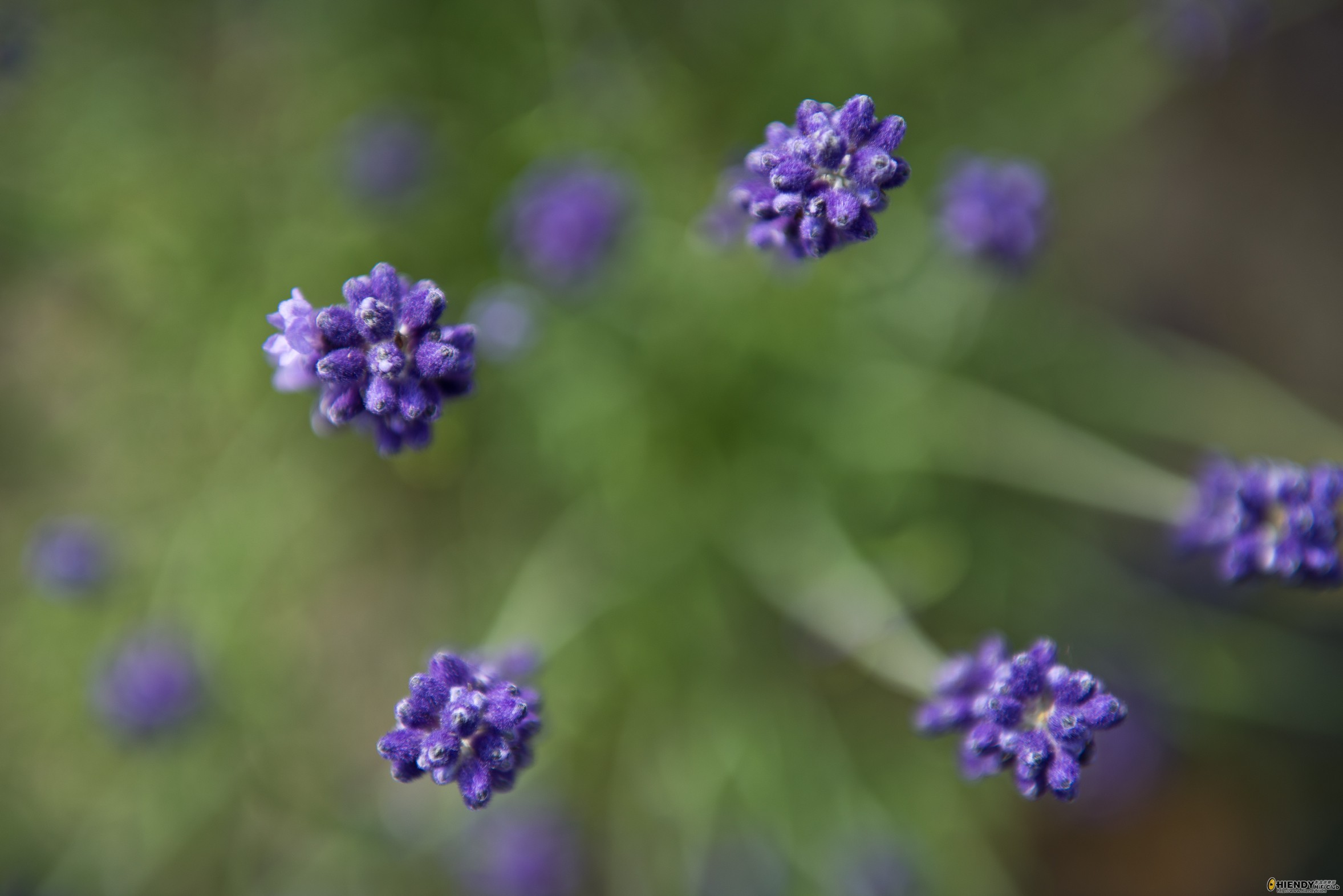 88E_0718w.jpg