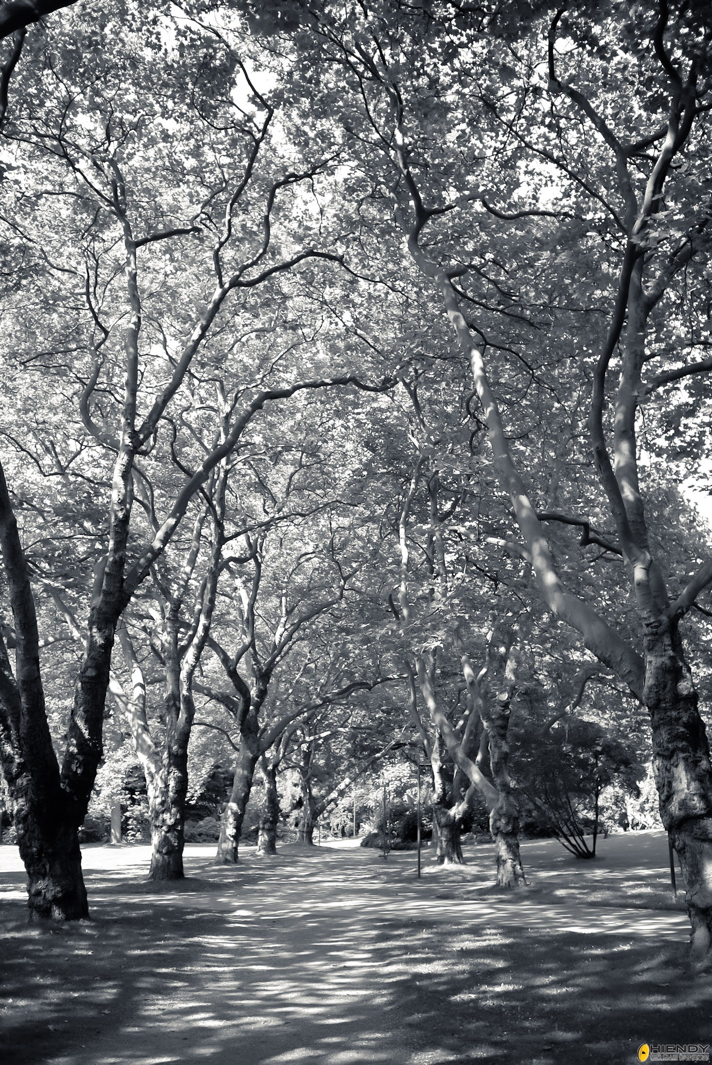 L1020258.jpg