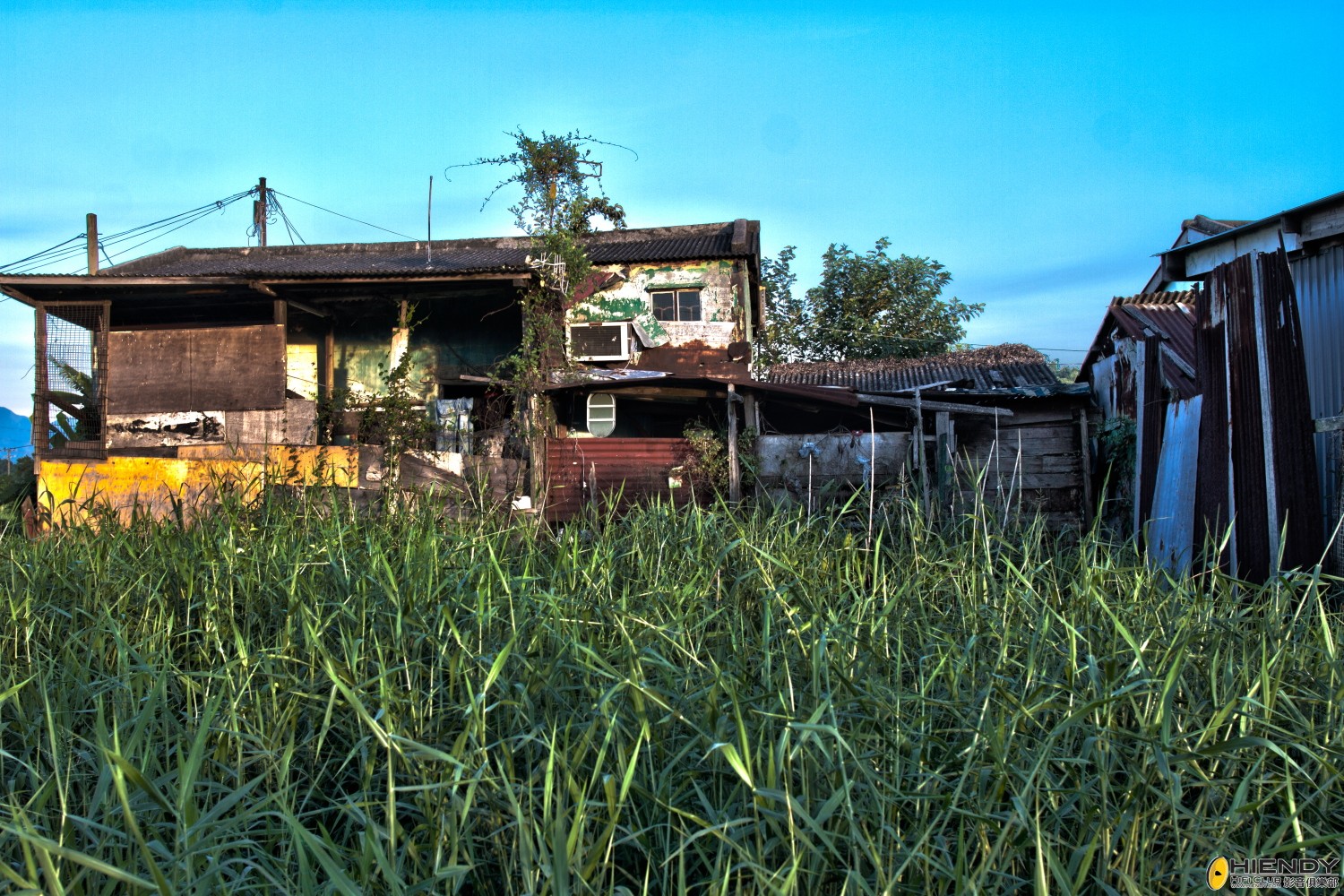 DPP_0001.JPG