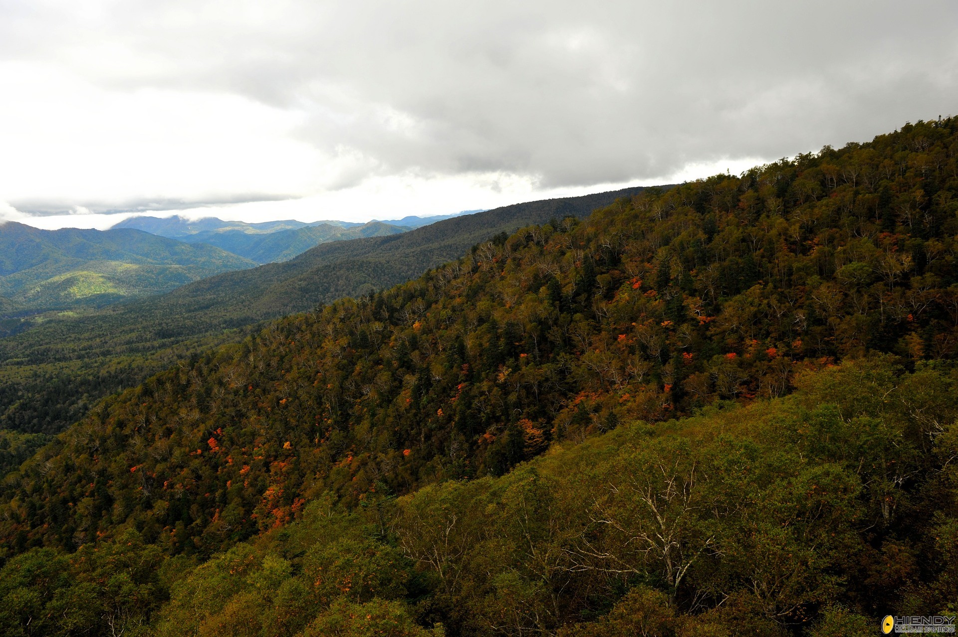 DSC_2249.JPG