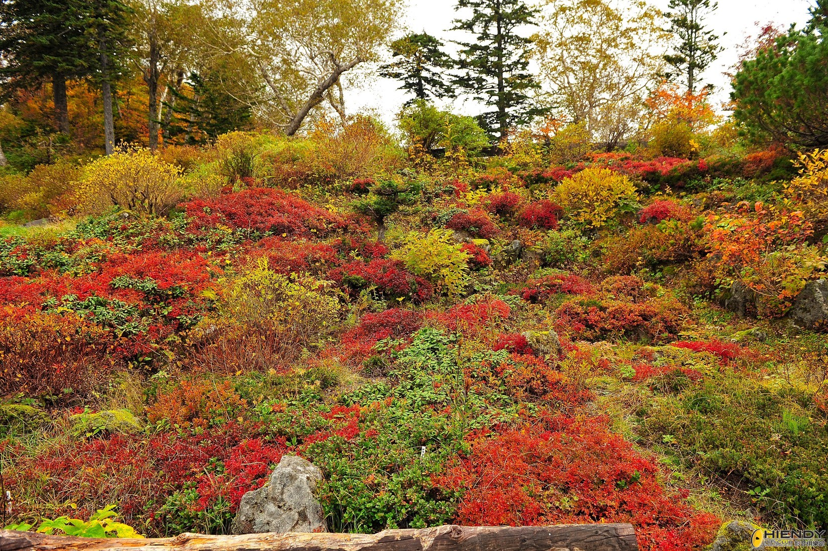 DSC_2261.JPG