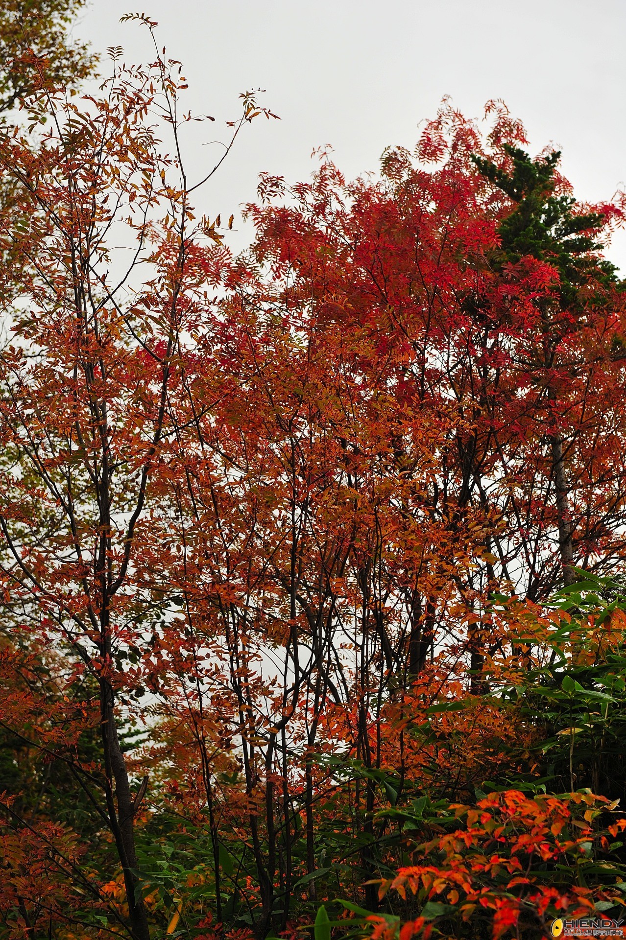 DSC_2280.JPG