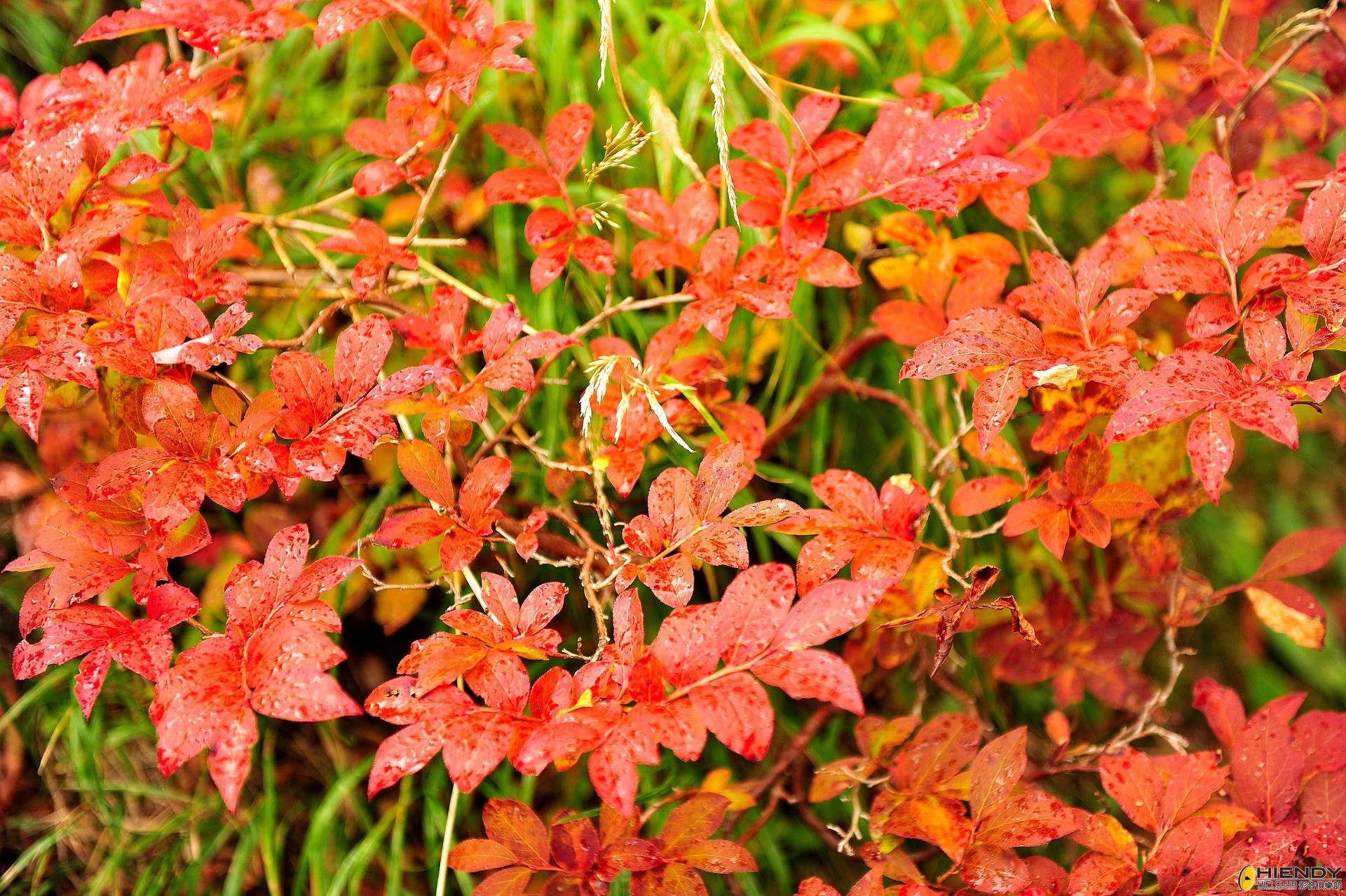 DSC_2281.JPG