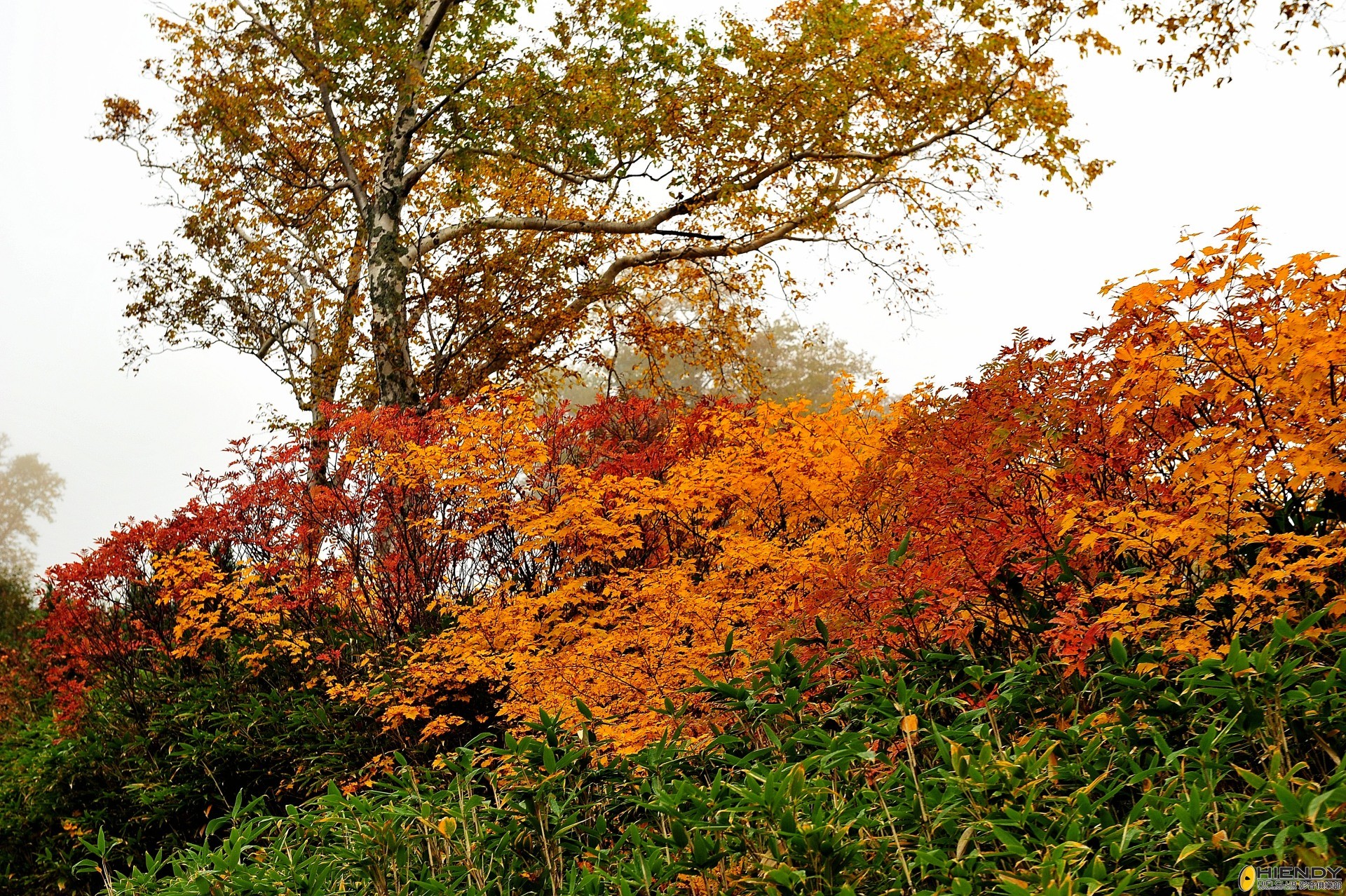 DSC_2306.JPG