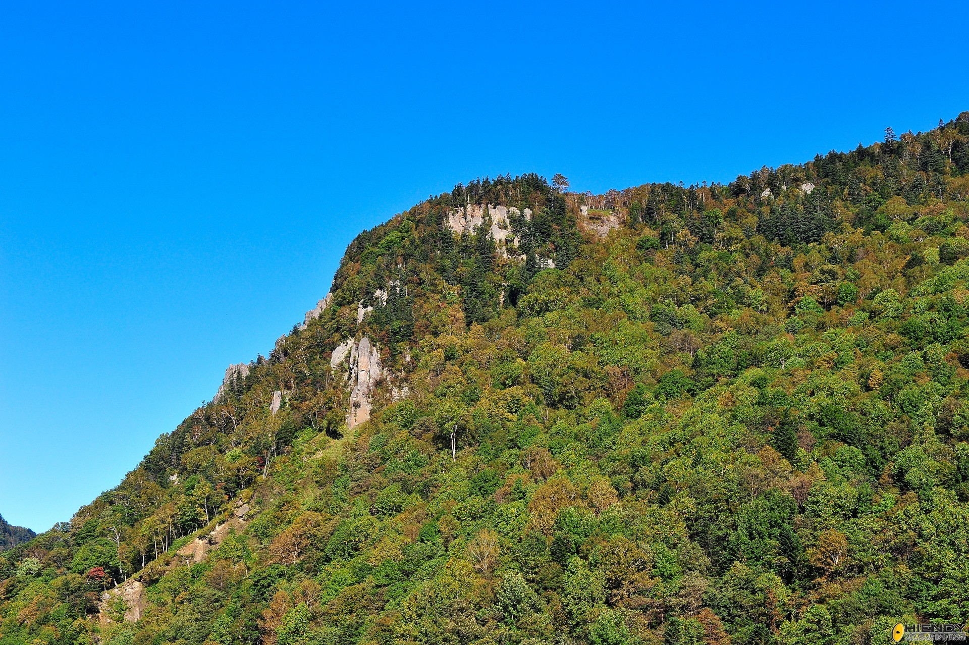 DSC_2402.JPG