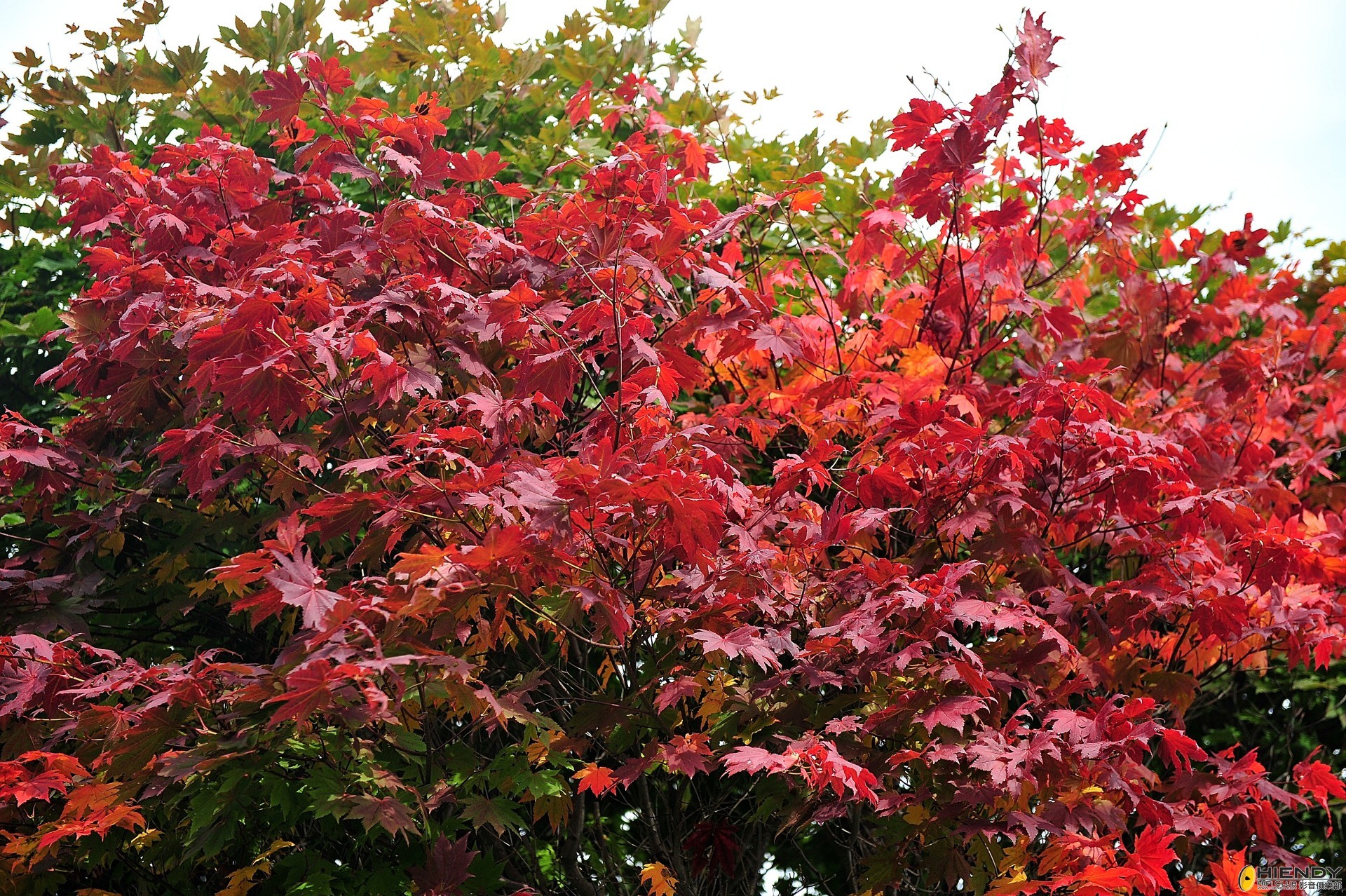 DSC_2644.JPG
