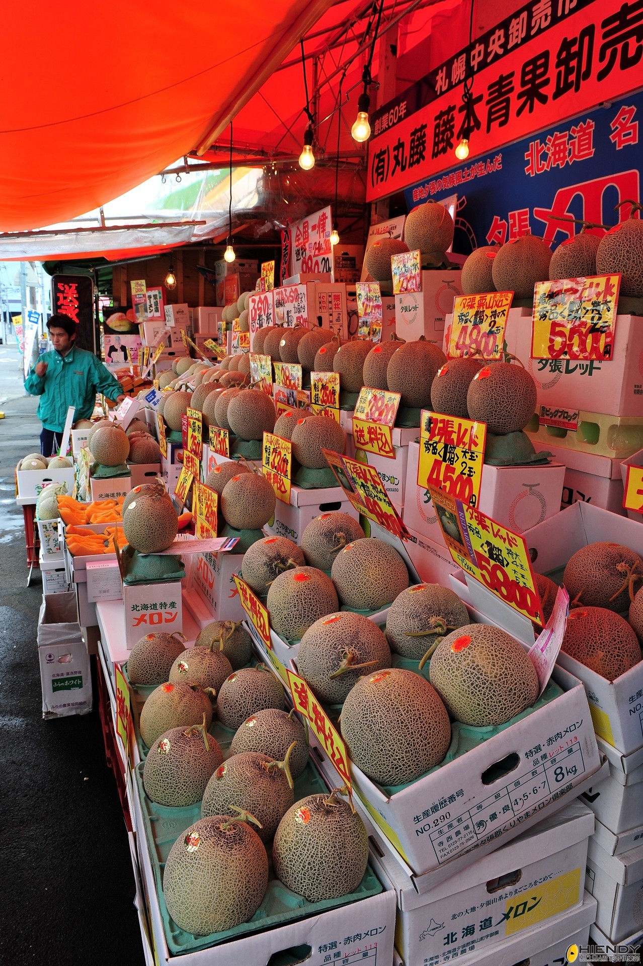 DSC_2893.JPG