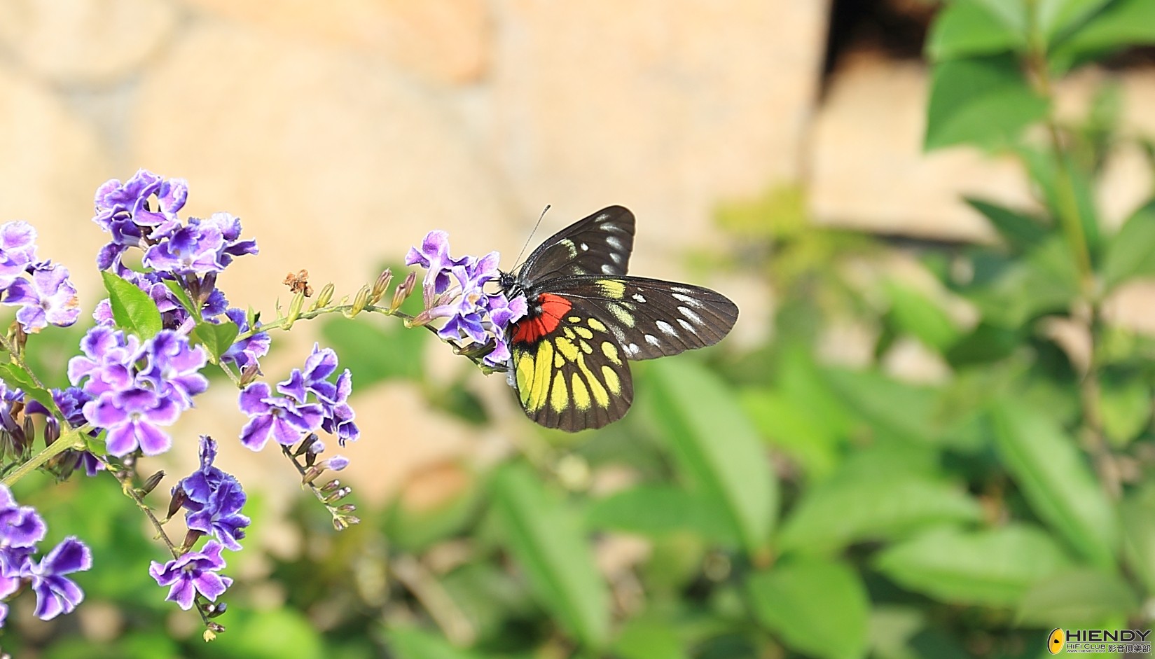2012-10-23_201020.jpg