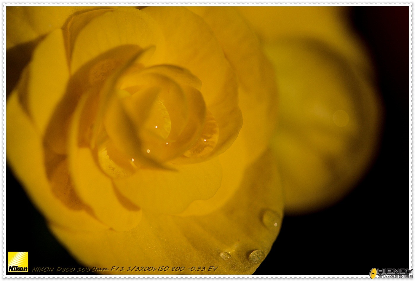 D88_0946.JPG
