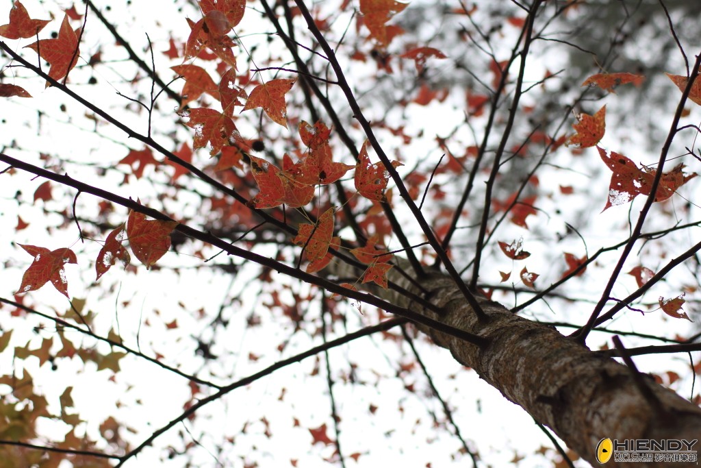 DPP_2240.JPG