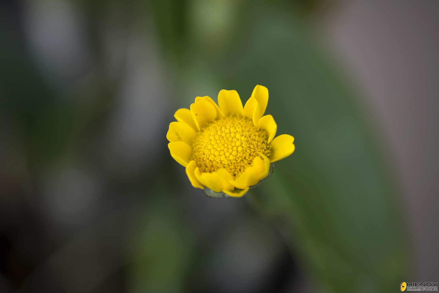 _67B0061-2.jpg