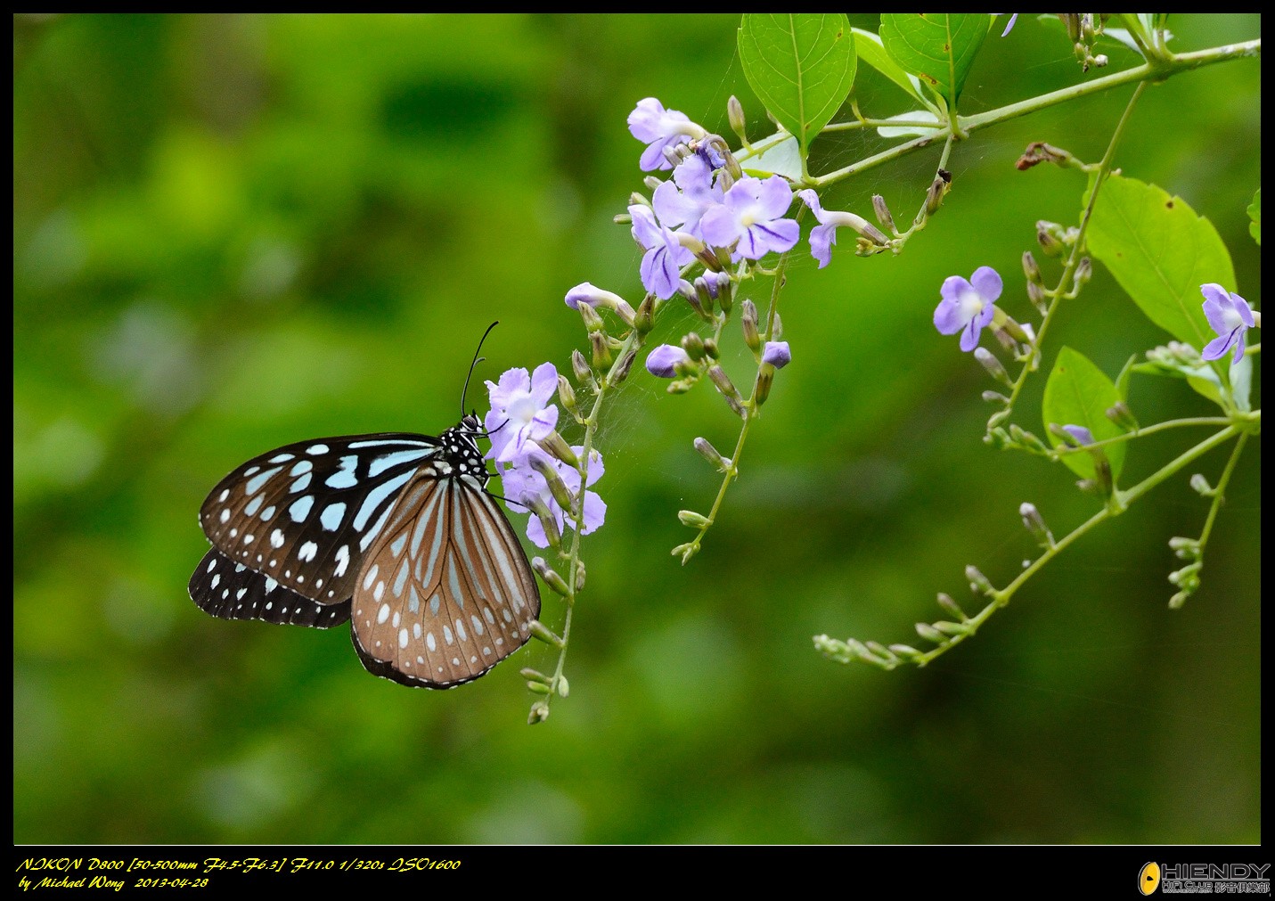 D88_8745.jpg