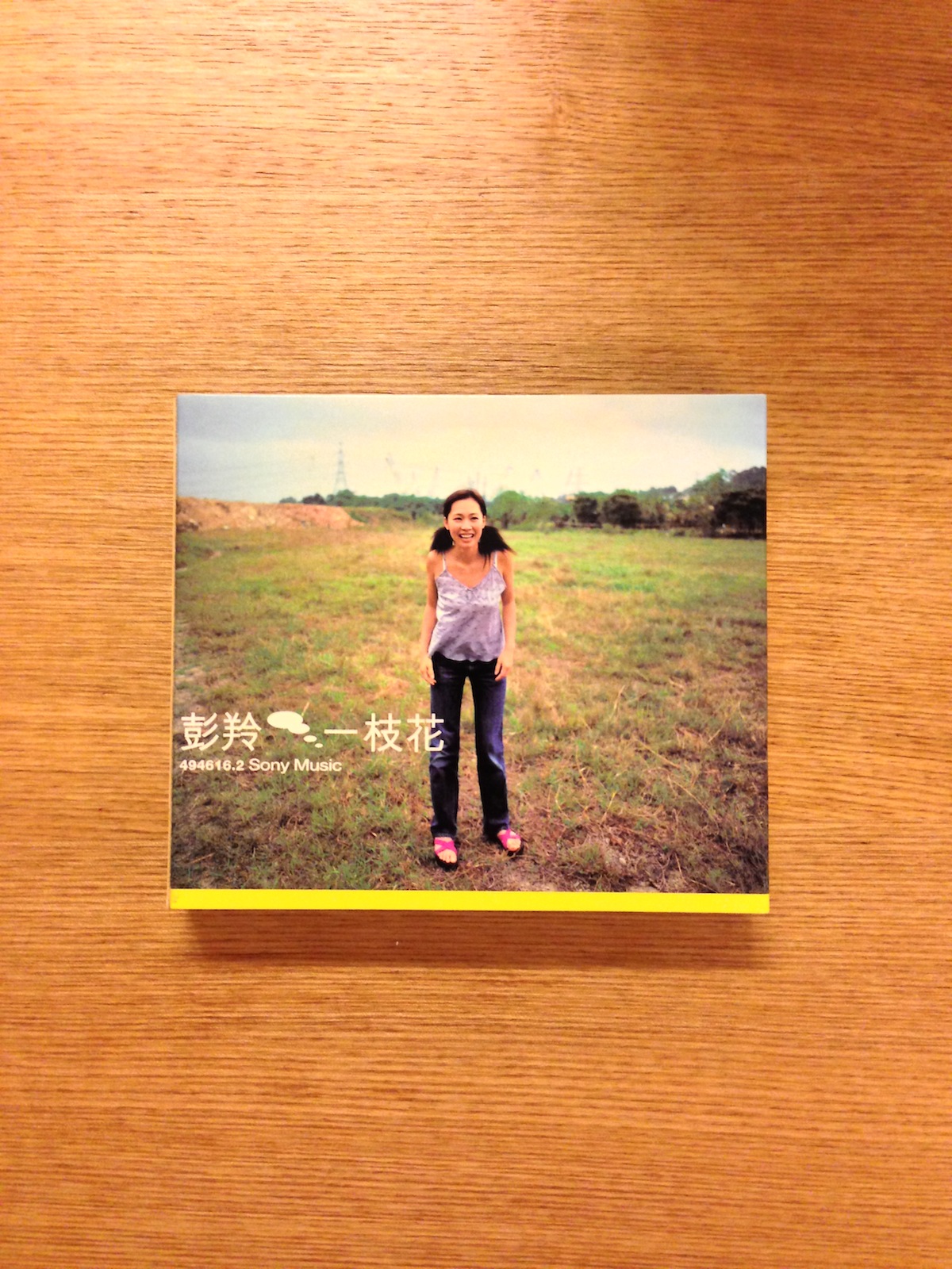 彭羚 - 一枝花 (舊版) (SOLD 已售)