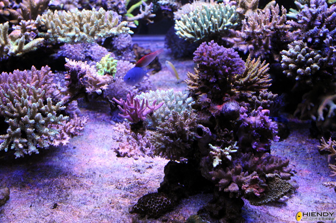 DSC_9263.JPG