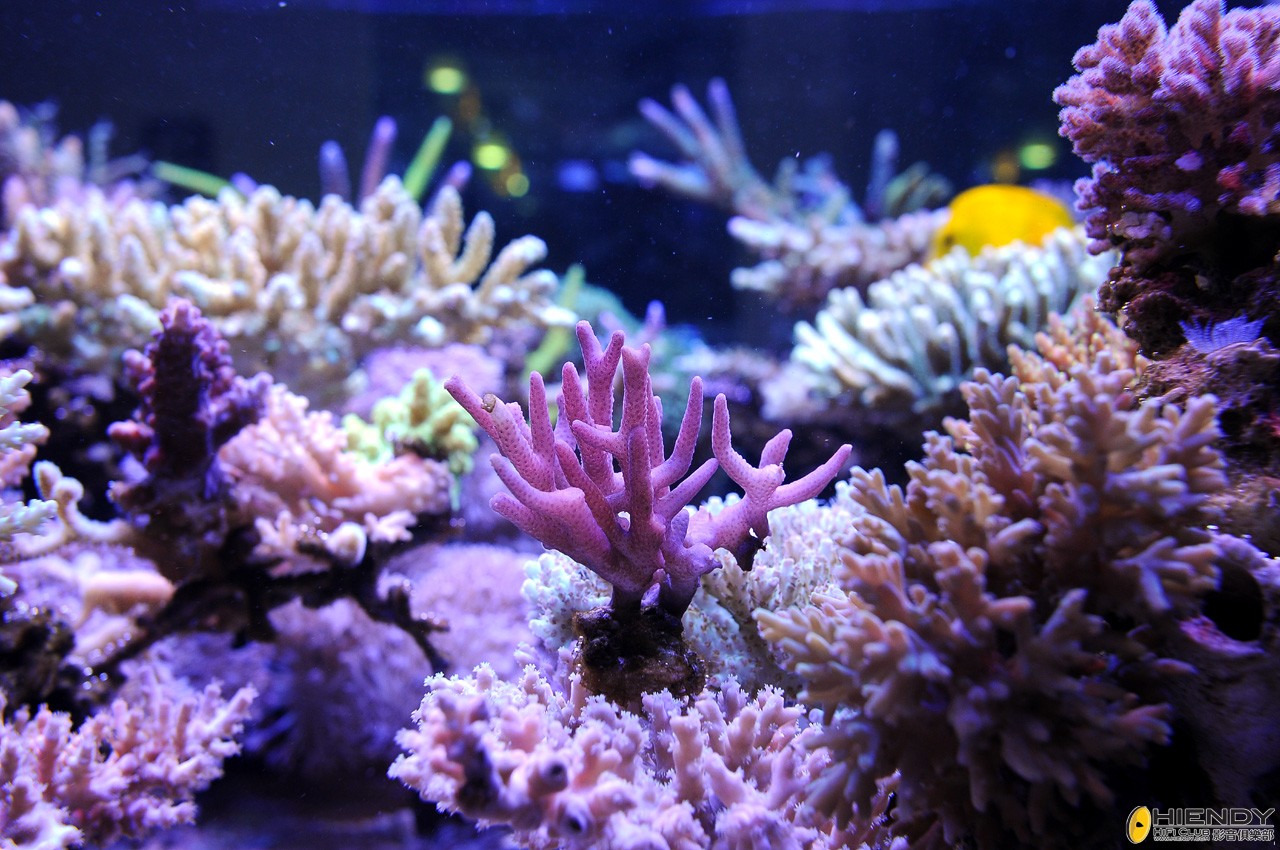DSC_9269.JPG