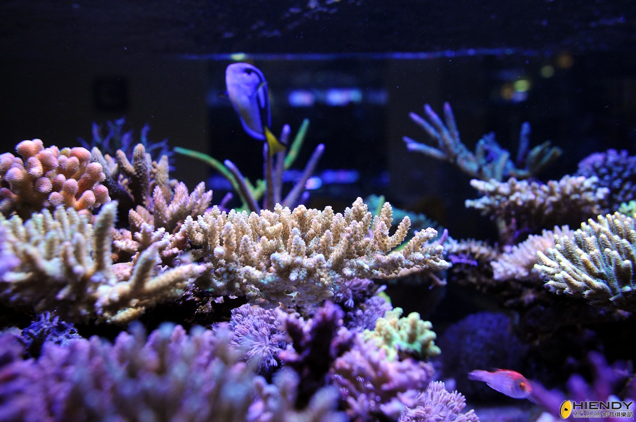 DSC_9270.JPG