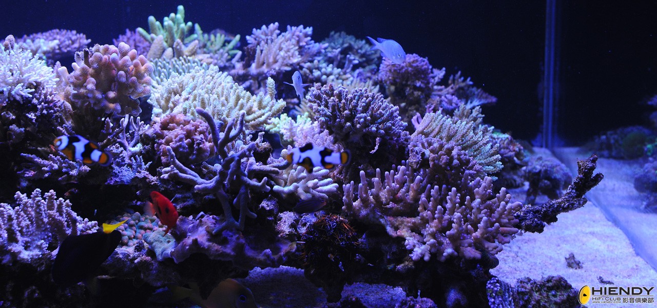 DSC_9291.JPG