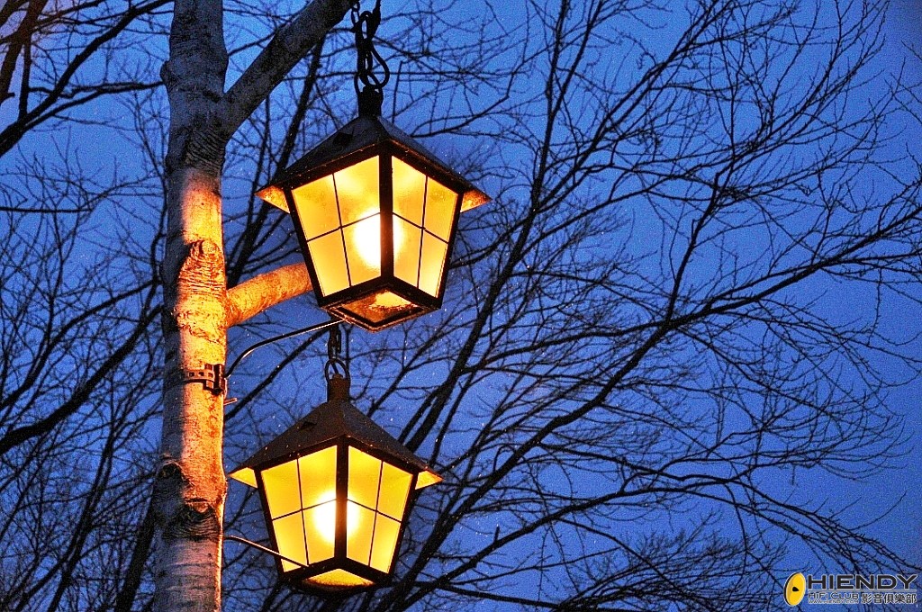 conew_000_7123.jpg
