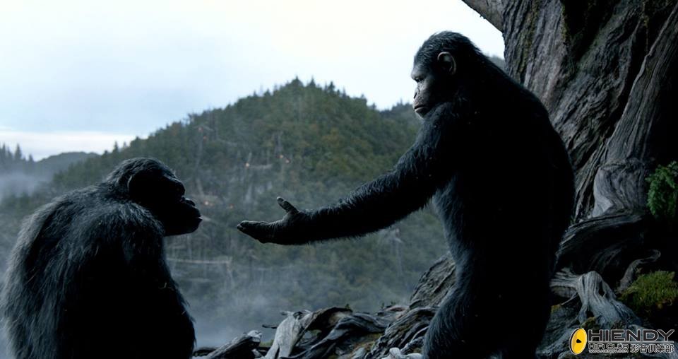 猿人争霸战:猩凶崛起 Dawn of the Planet of the