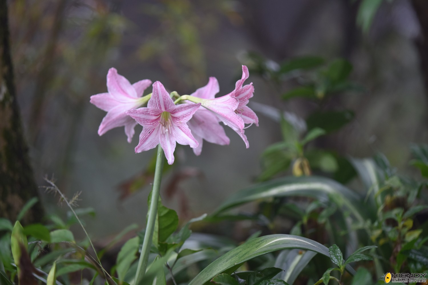 web__DSC1080.jpg