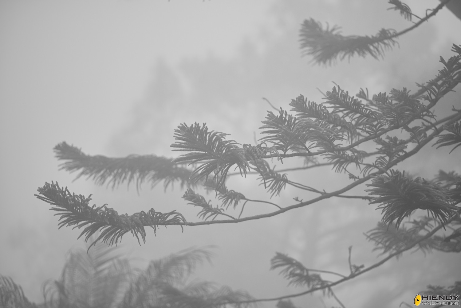 web__DSC1085.jpg