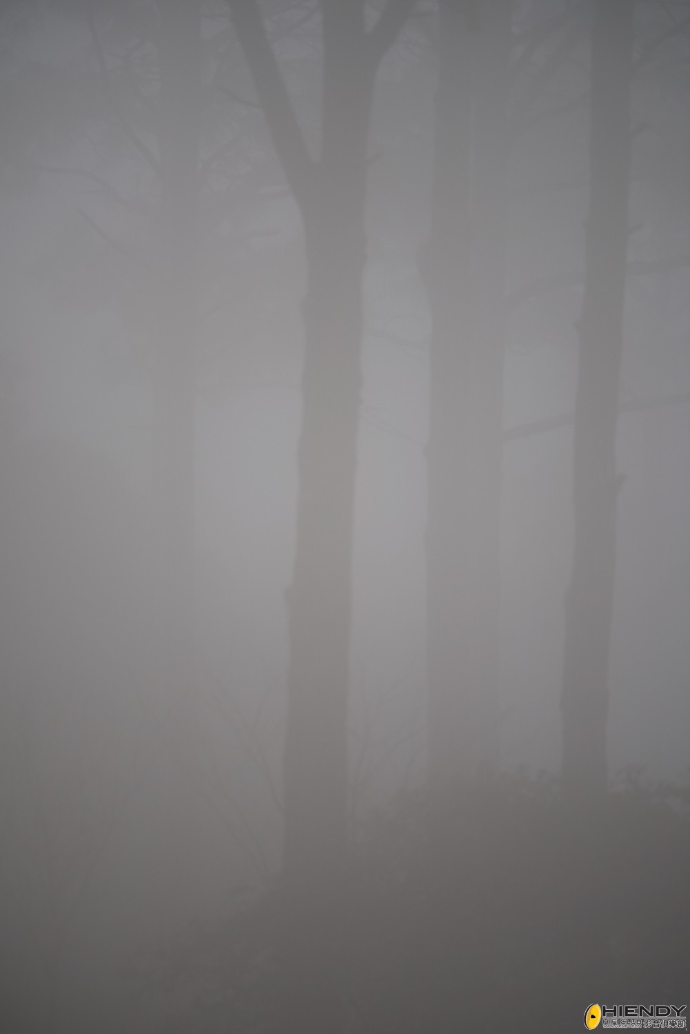 web__DSC1081.jpg