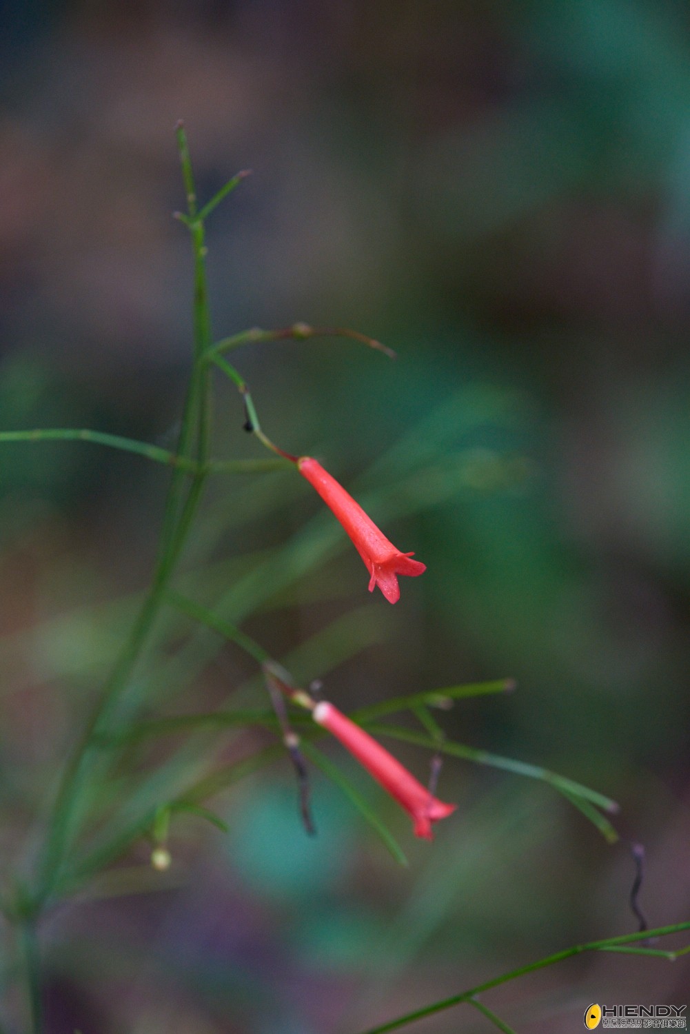 web__DSC1154.jpg