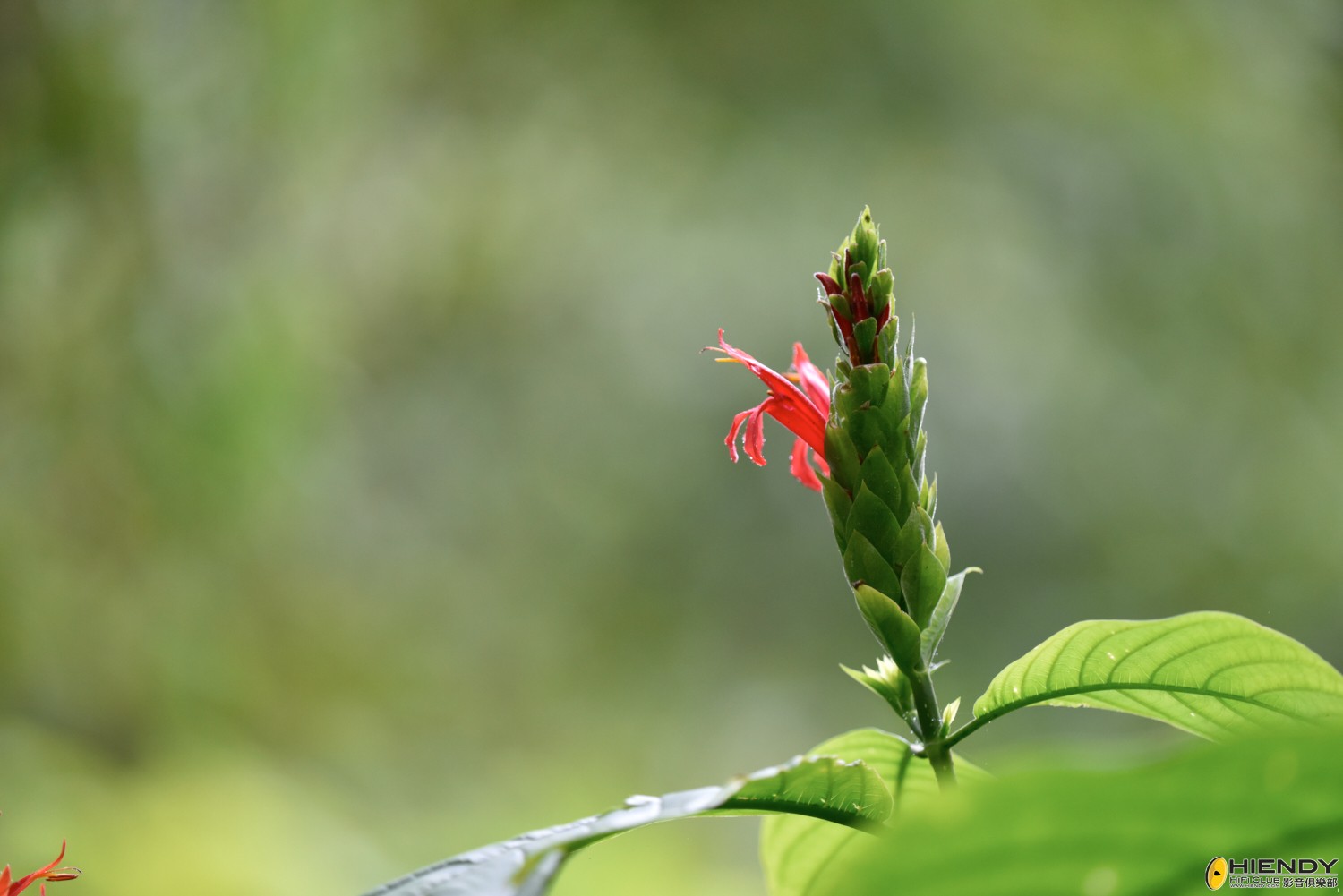 web__DSC1144.jpg