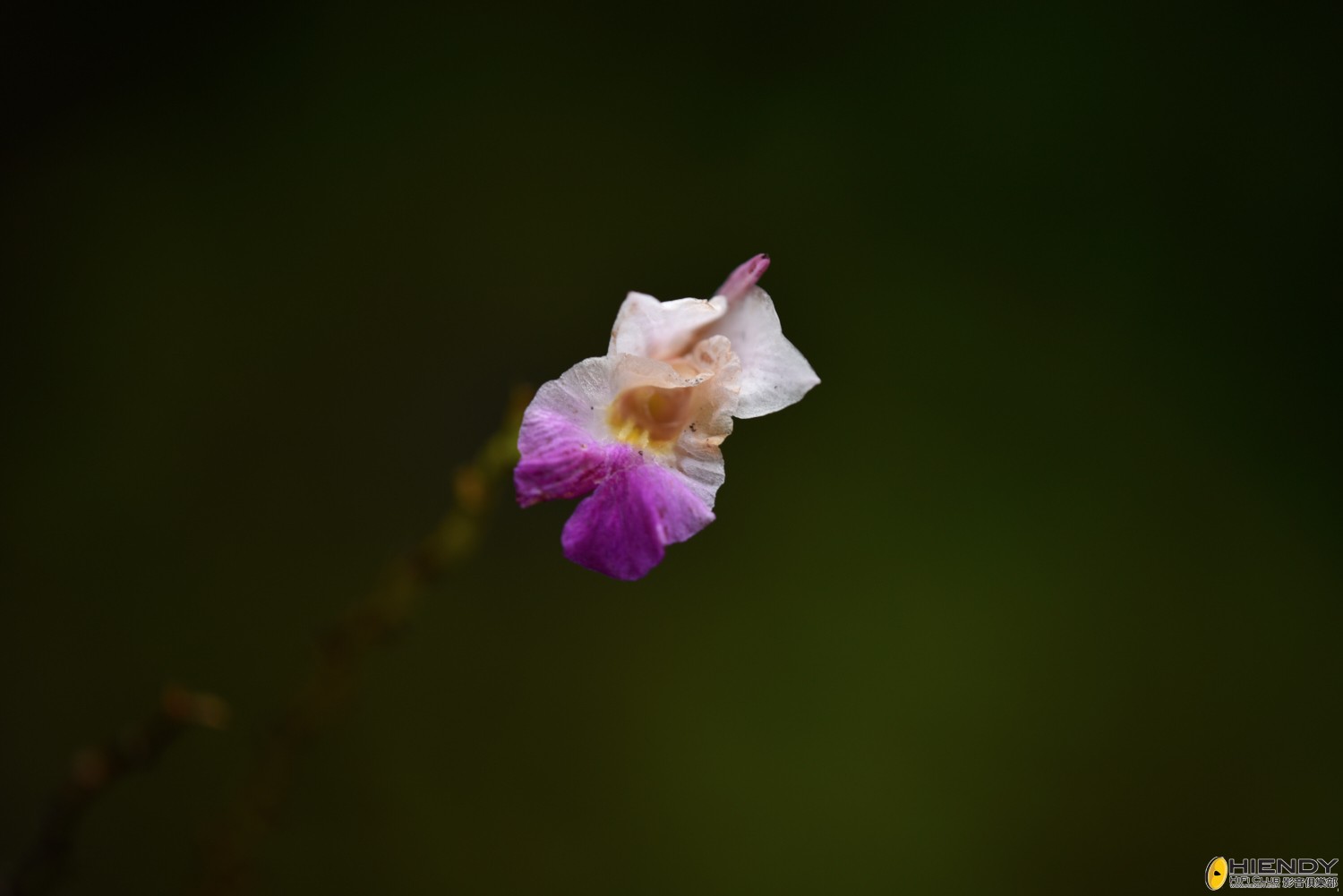 web__DSC1166.jpg