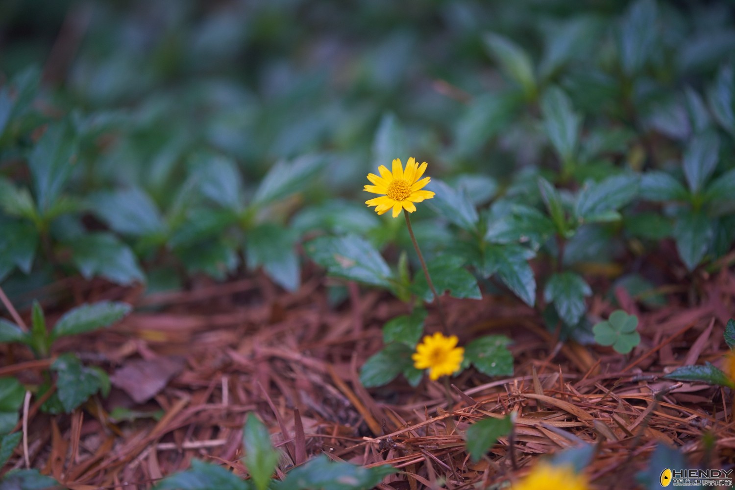 web__DSC1108.jpg