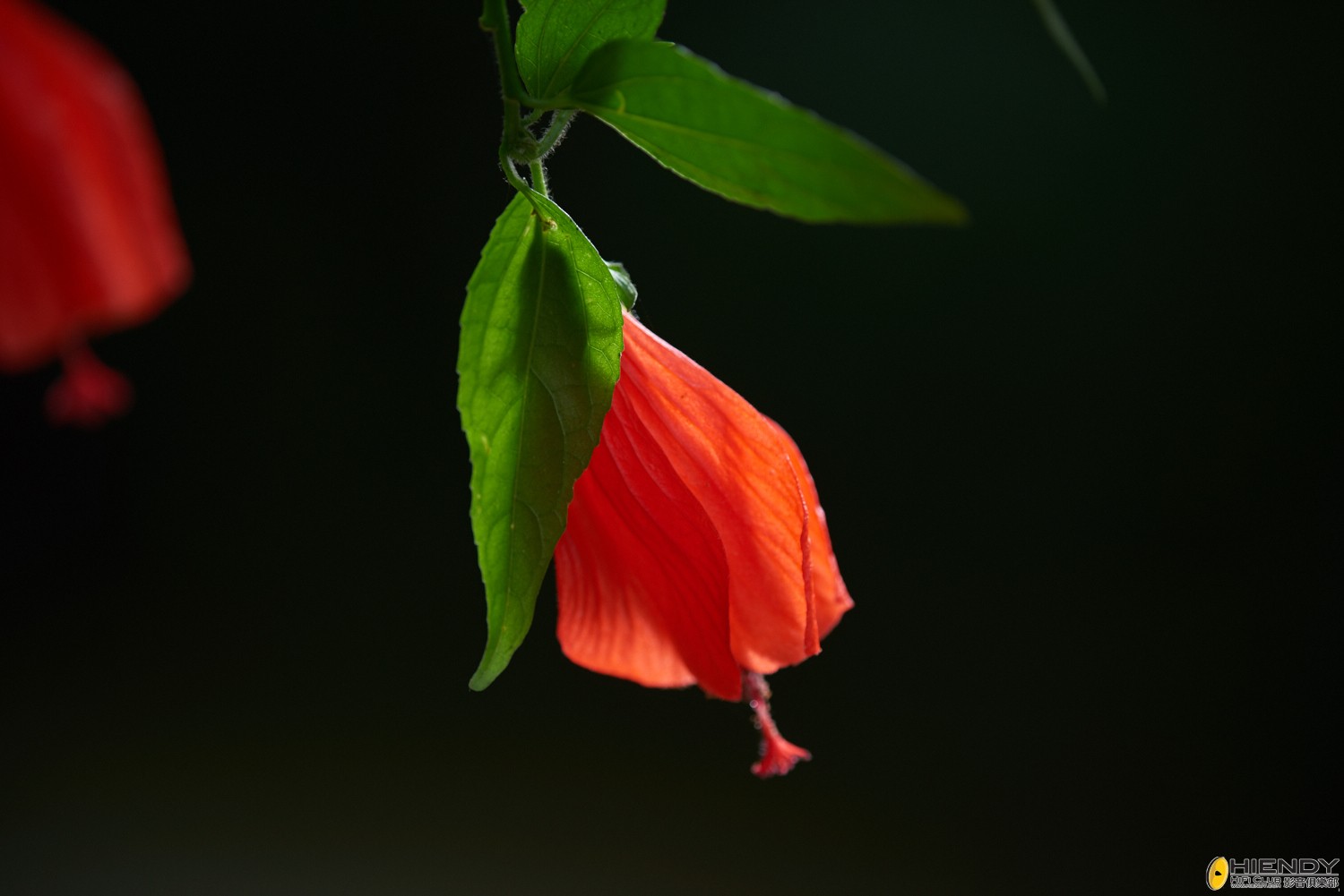 web__DSC1186.jpg