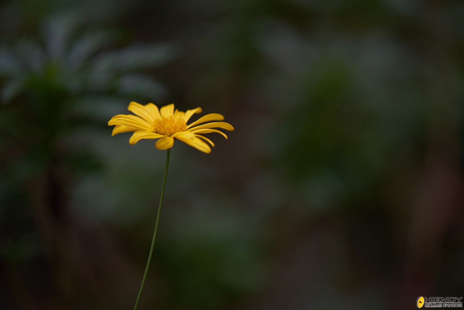 web__DSC1198.jpg