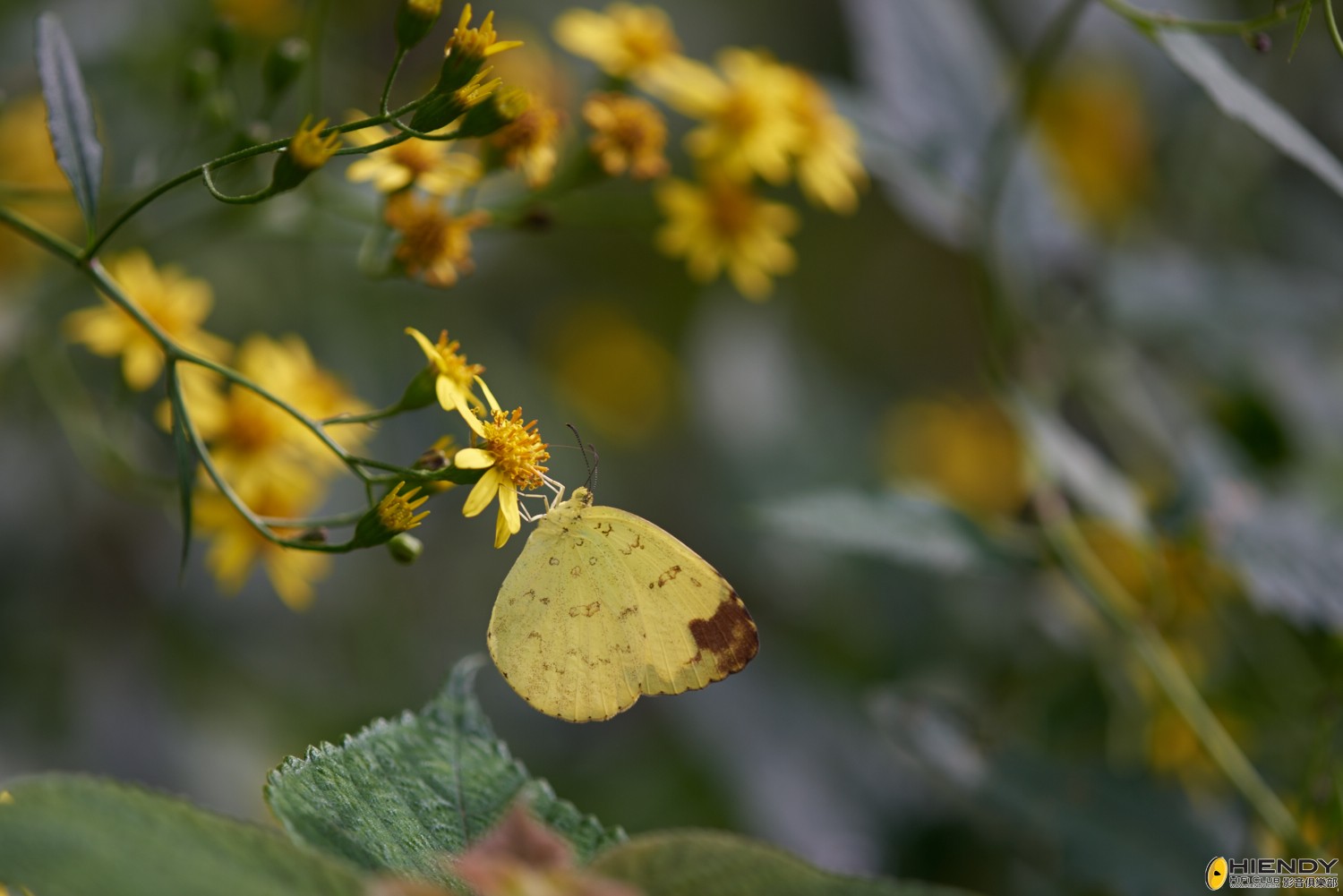 web__DSC1190.jpg
