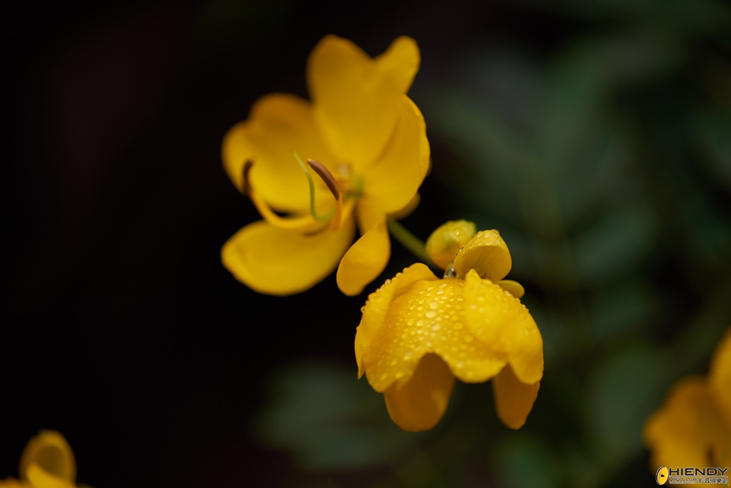 web__DSC1189.jpg