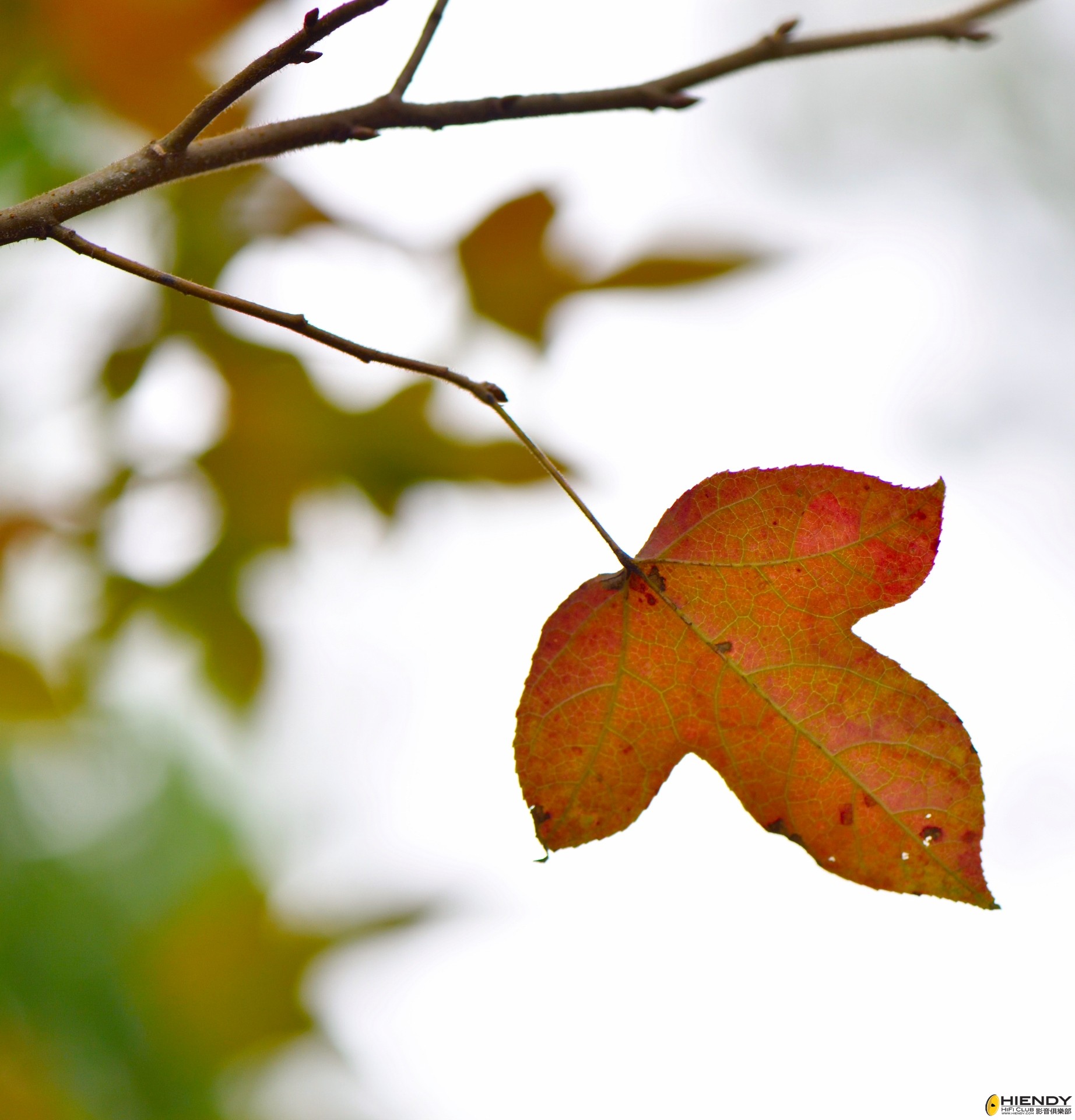 20141223TTOP0010 (1844x1920).jpg