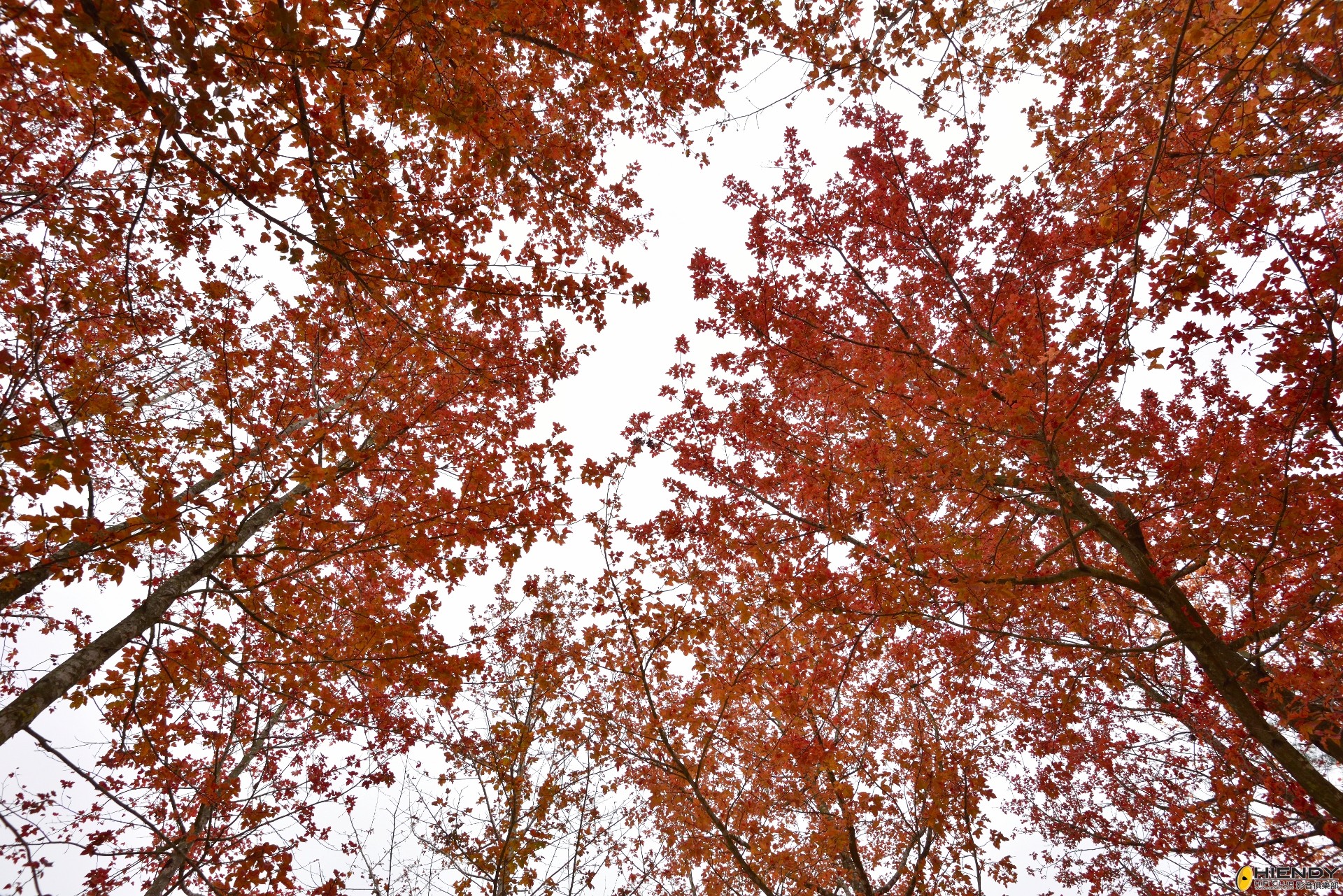 20141223TTOP0043 (1920x1281).jpg