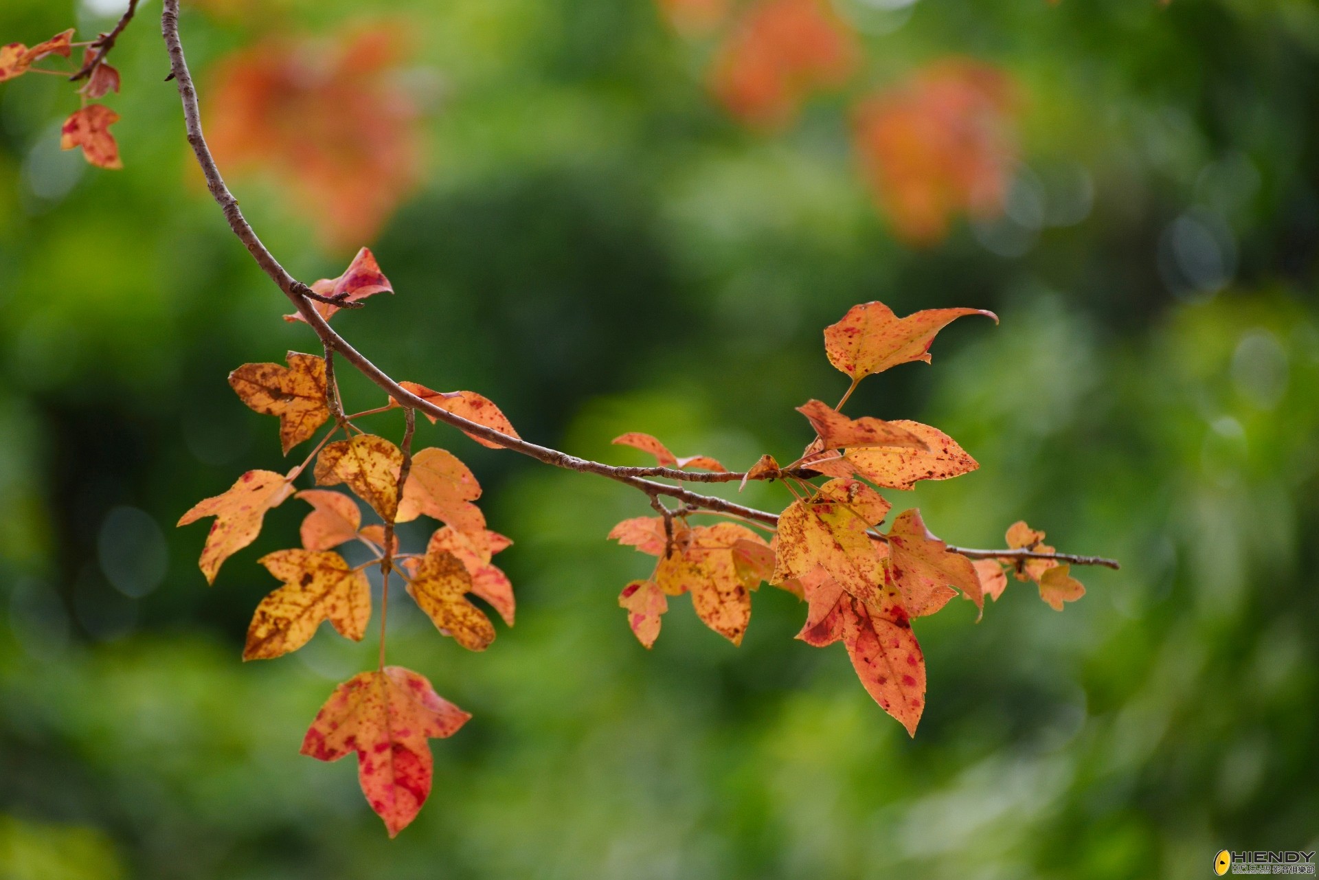 20141223TTOP0057 (1920x1281).jpg