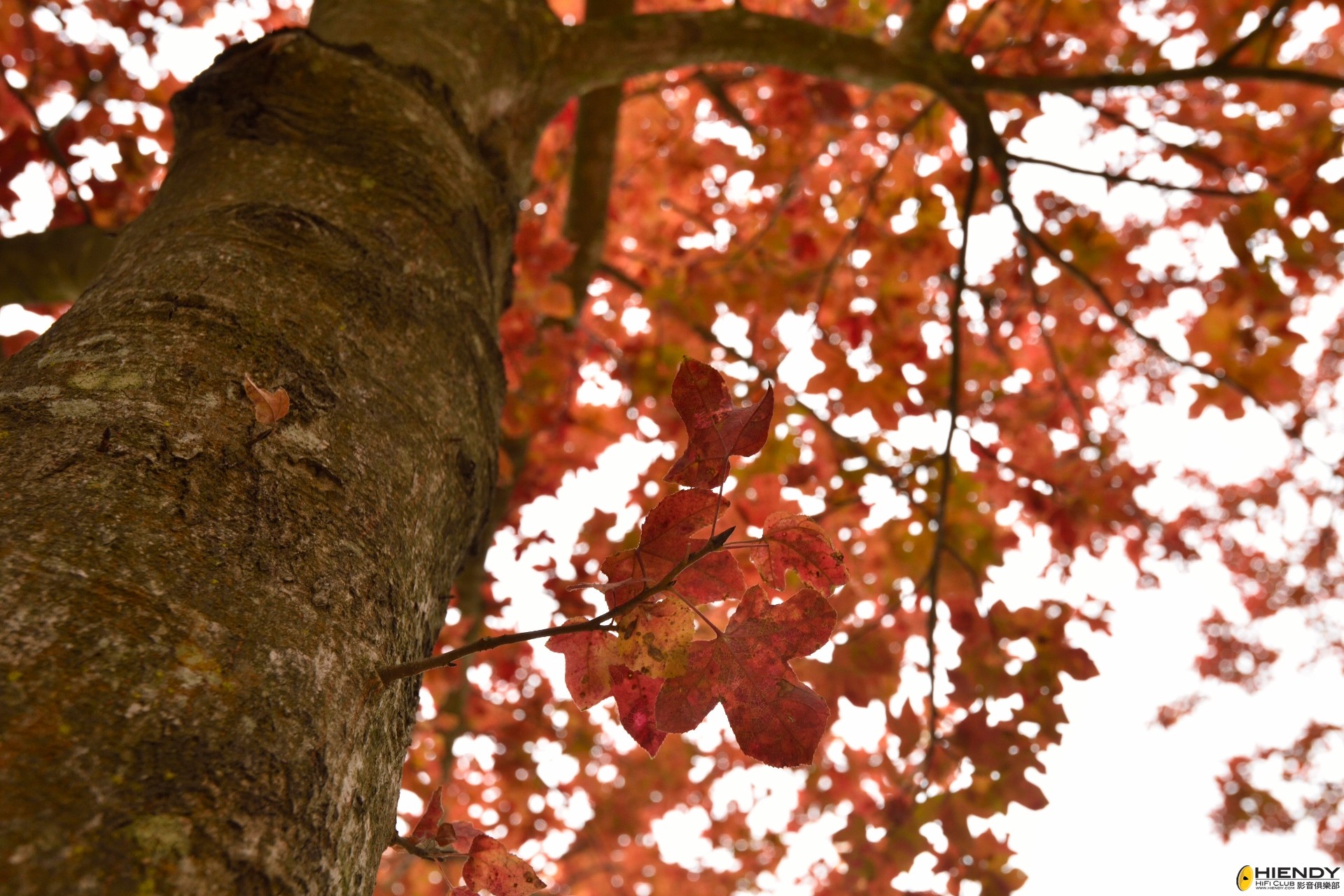 20141223TTOP0072 (1920x1280).jpg