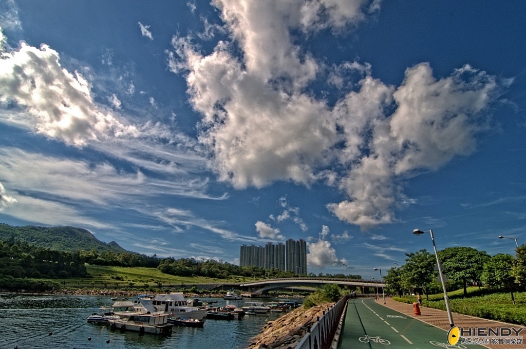 conew__ccw3464 copy.jpg